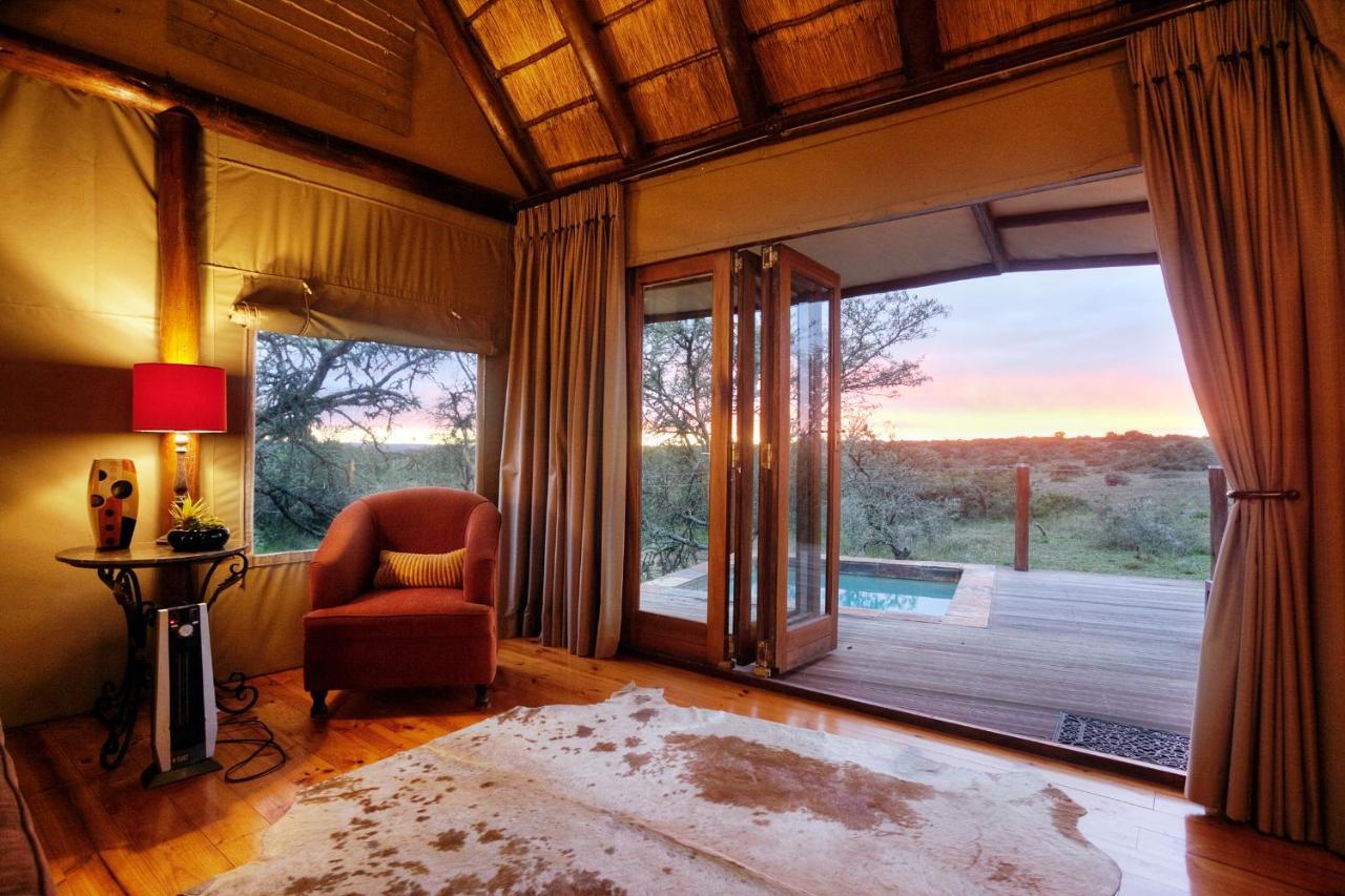 Bush Lodge - Amakhala Game Reserve Eksteriør billede