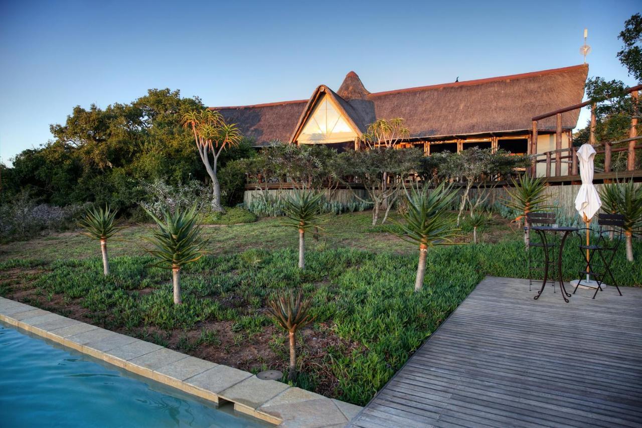Bush Lodge - Amakhala Game Reserve Eksteriør billede
