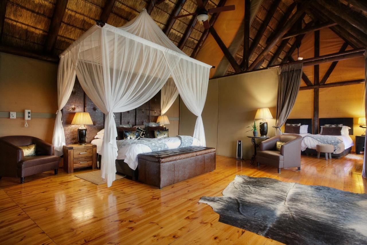 Bush Lodge - Amakhala Game Reserve Værelse billede