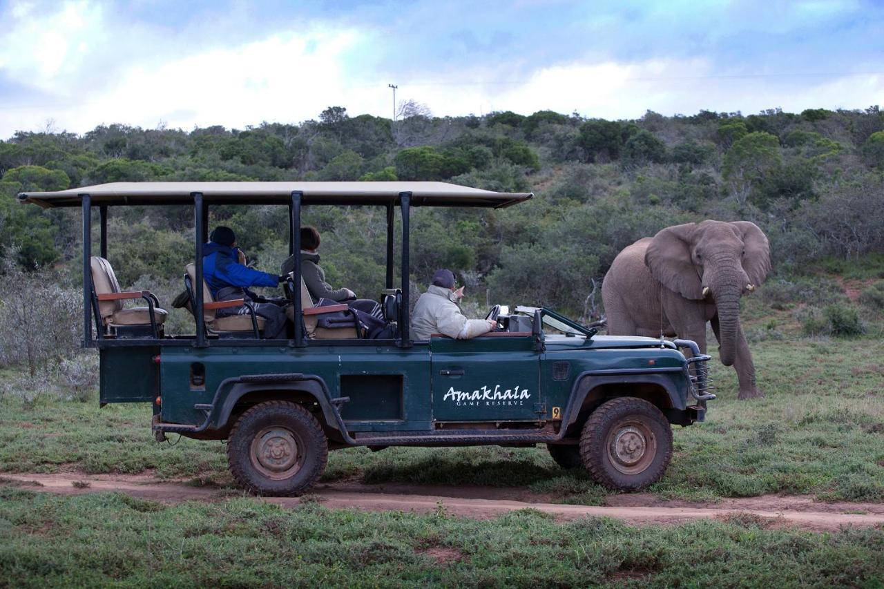 Bush Lodge - Amakhala Game Reserve Eksteriør billede