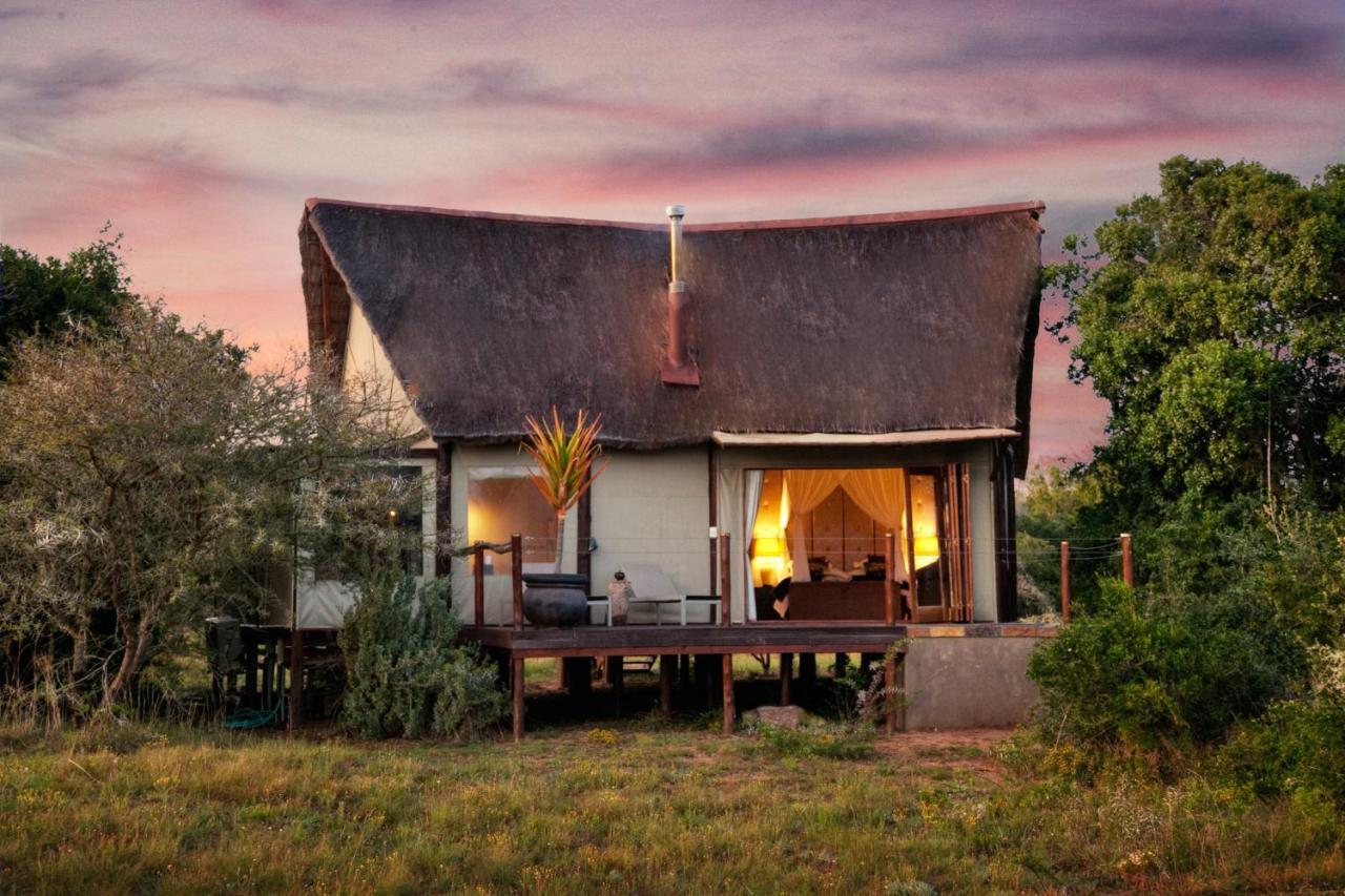 Bush Lodge - Amakhala Game Reserve Eksteriør billede