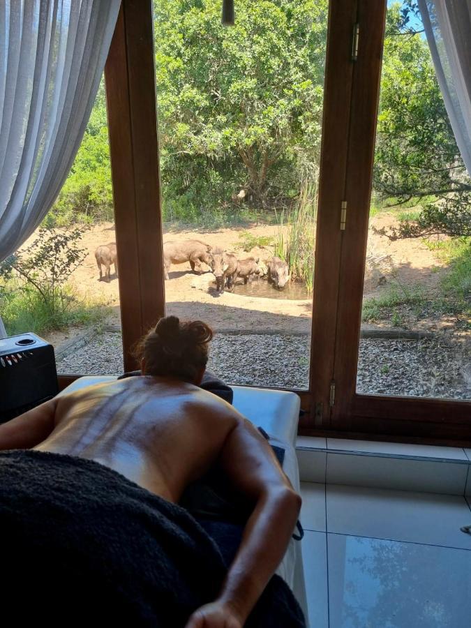 Bush Lodge - Amakhala Game Reserve Eksteriør billede