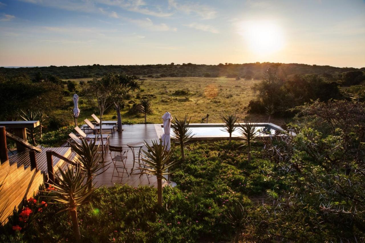 Bush Lodge - Amakhala Game Reserve Eksteriør billede