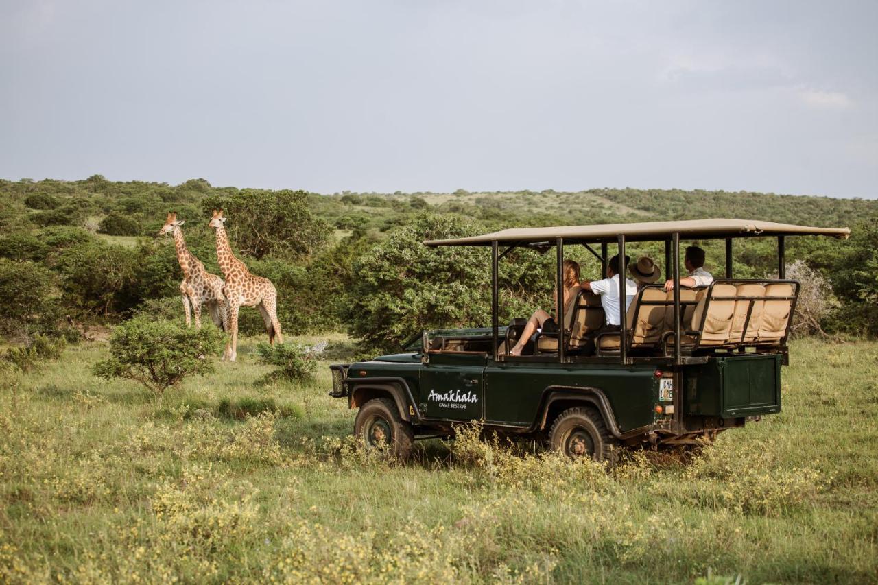 Bush Lodge - Amakhala Game Reserve Eksteriør billede