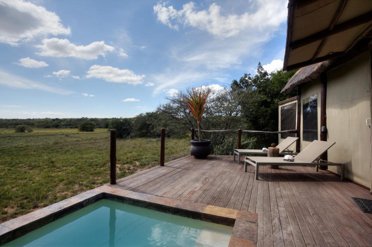 Bush Lodge - Amakhala Game Reserve Eksteriør billede