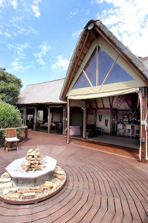 Bush Lodge - Amakhala Game Reserve Eksteriør billede