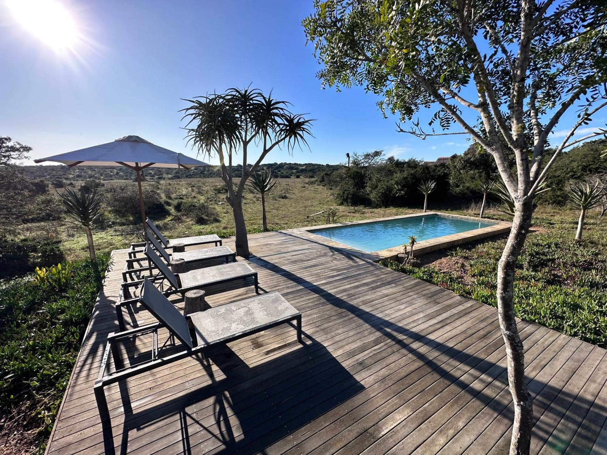 Bush Lodge - Amakhala Game Reserve Eksteriør billede