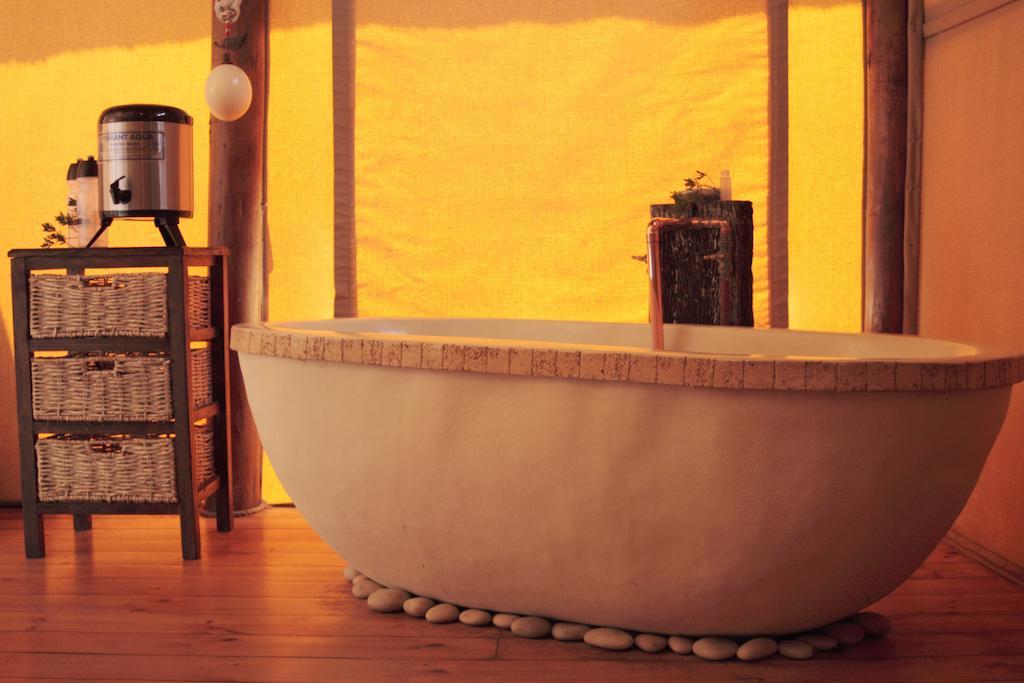 Bush Lodge - Amakhala Game Reserve Værelse billede