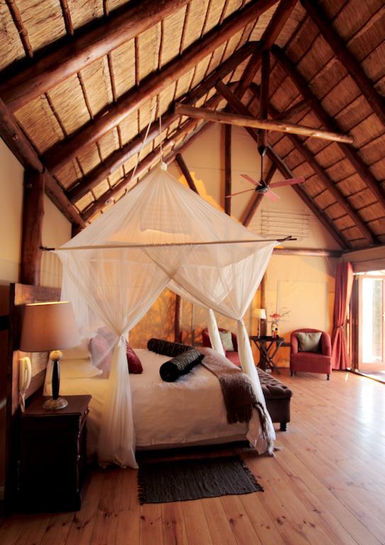 Bush Lodge - Amakhala Game Reserve Værelse billede