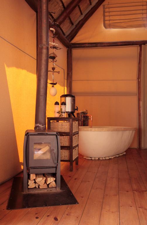 Bush Lodge - Amakhala Game Reserve Værelse billede