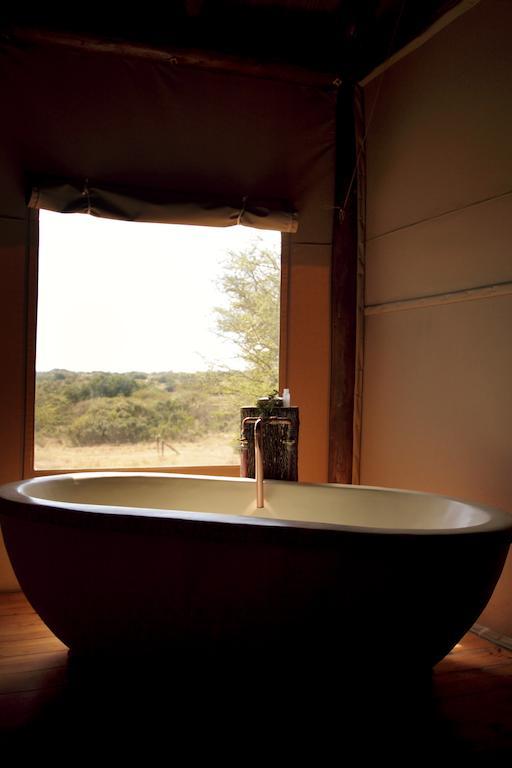 Bush Lodge - Amakhala Game Reserve Eksteriør billede