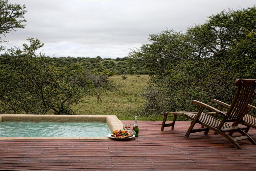 Bush Lodge - Amakhala Game Reserve Værelse billede