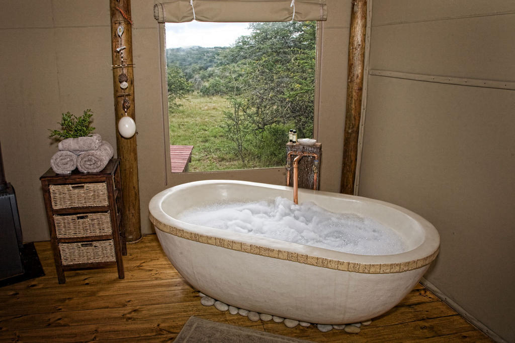 Bush Lodge - Amakhala Game Reserve Værelse billede