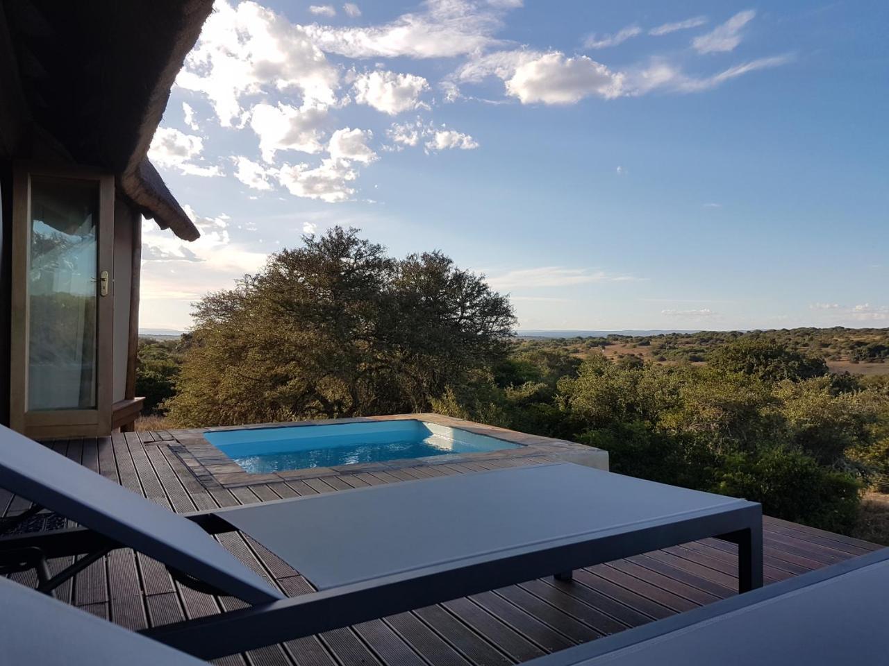 Bush Lodge - Amakhala Game Reserve Eksteriør billede